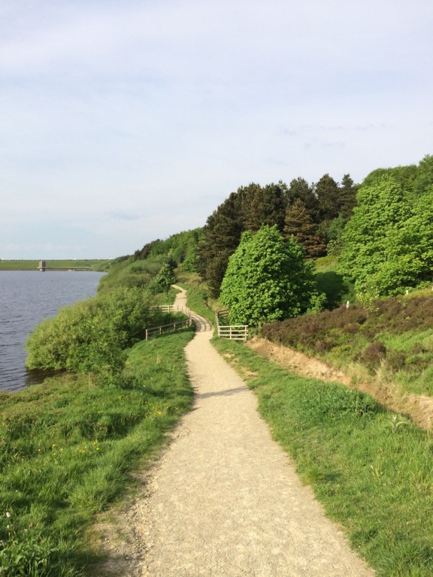 20140525-103112 pm-81072630.jpg